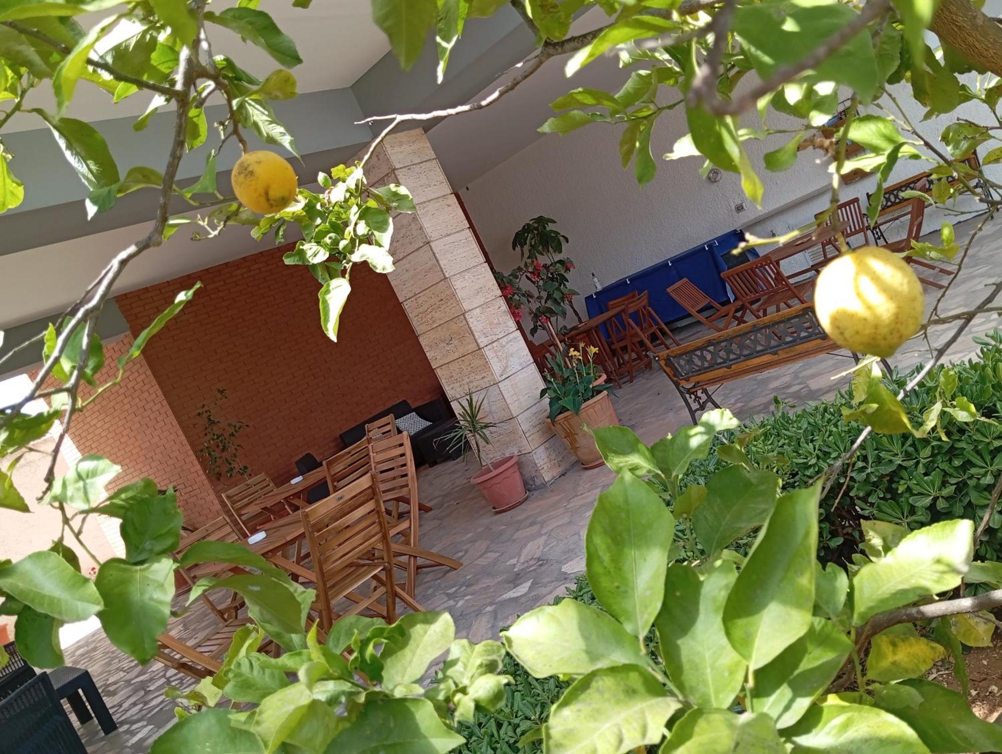 B&B Il Cedro Salve Exteriér fotografie